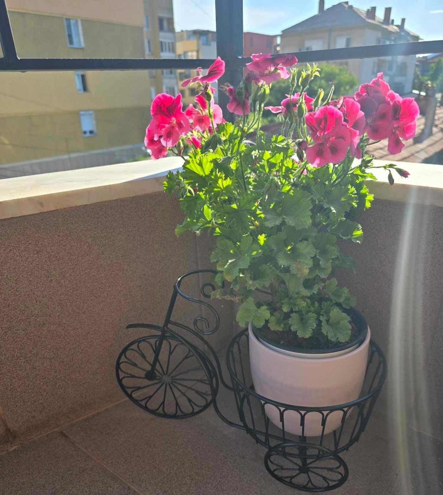 Luxury City Centre Appartment Iva Sliven エクステリア 写真