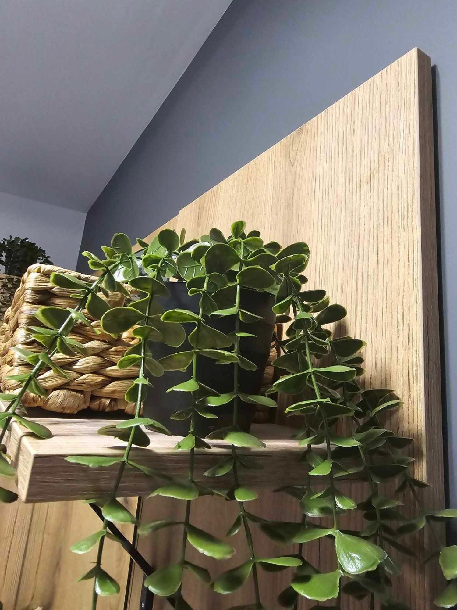 Luxury City Centre Appartment Iva Sliven エクステリア 写真